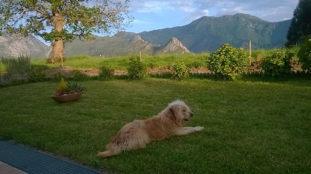 Hotel Mirador Del Sella リバデセリャ エクステリア 写真