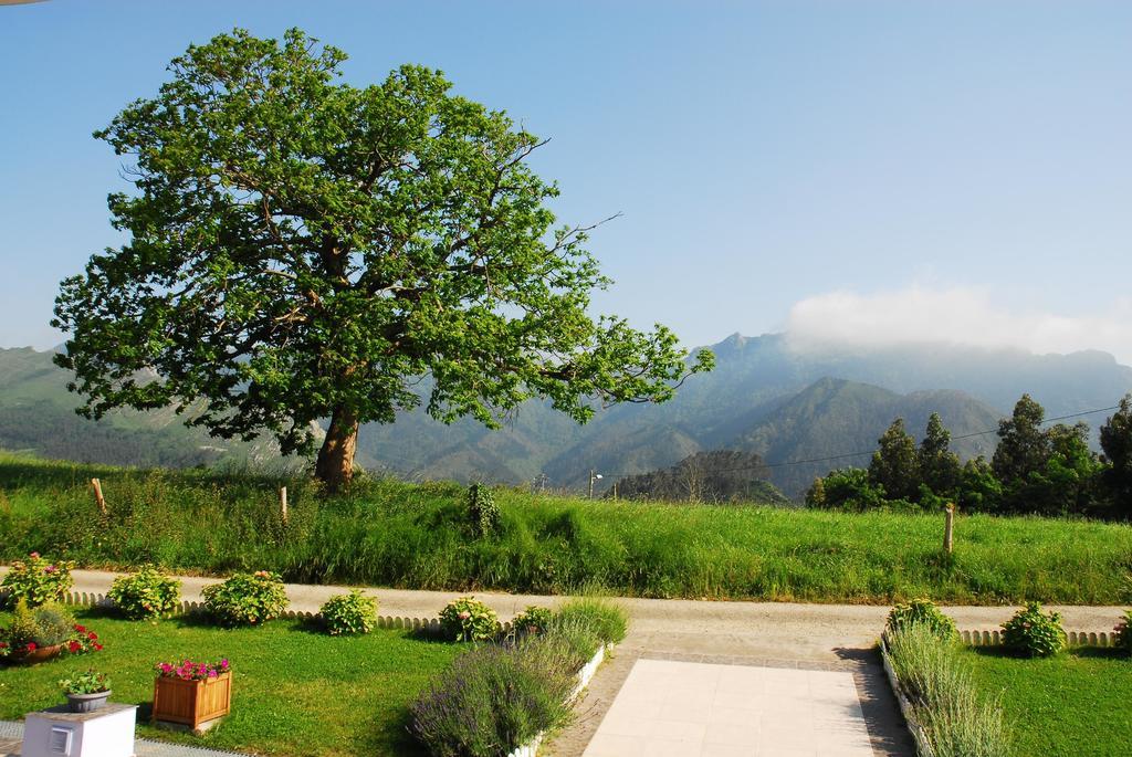 Hotel Mirador Del Sella リバデセリャ エクステリア 写真